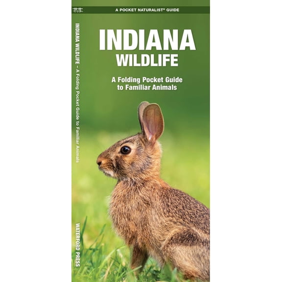 Indiana Wildlife: An Introduction to Familiar Species of Birds, Mammals, Reptiles, Amphibians, Fish and Butterflies - Paperback