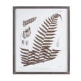 thumbnail image 2 of Melrose International Framed Fern Print (Set of 6), 2 of 7