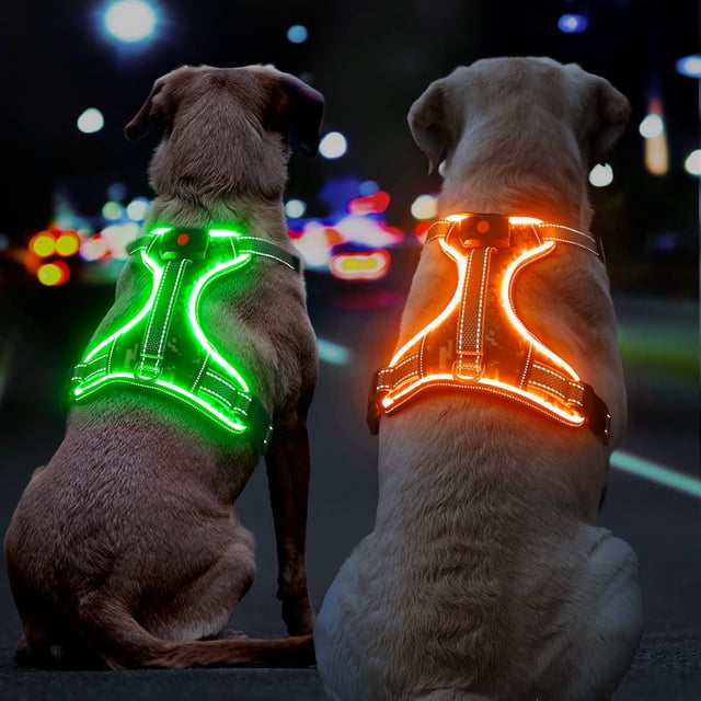 Chaleco para perros con iluminación BiPawti, sin tirones, para perros grandes