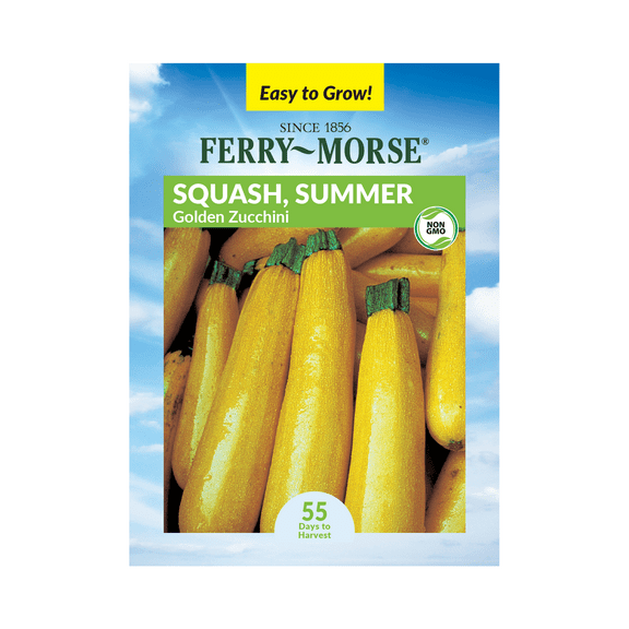 Ferry-Morse 2.5G Squash Golden Zucchini Annual Vegetable Seeds, Full Sun