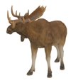 thumbnail image 3 of STANDING MOOSE STATUE, 3 of 3