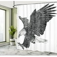 thumbnail image 5 of Ambesonne Animal Shower Curtain, Bald Eagle Swoop Sketchy, 69"Wx75"L, Black Pale Grey, 5 of 5