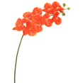 thumbnail image 1 of Vickerman FA172103 Vrai Toucher Orchidée-12 Têtes Tige Florale&44; Orange, 1 of 1