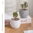 thumbnail image 4 of Macetas carnosas Bewildely con polvo de piedra natural para interiores y exteriores negro, 4 of 6