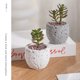 thumbnail image 4 of Soporte para flores Inteprter de cemento decorativo ecológico piedra de orquídea rojo, 4 of 6