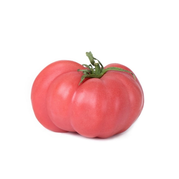 SEED PACK = =Pink Brandywine Tomato 20 Seeds Well Formed Juicy Flavor= Slicing Tomato= large delicious fruit vigorous rich flavor non GMO gourmet-See Description- Serendipity Seeds