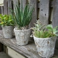 thumbnail image 2 of Round Pot Planter Size: 4.63" H x 4.75" W x 4.75" D, 2 of 6