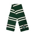 thumbnail image 1 of Slytherin Harry Potter Deluxe Knit Scarf, 1 of 2