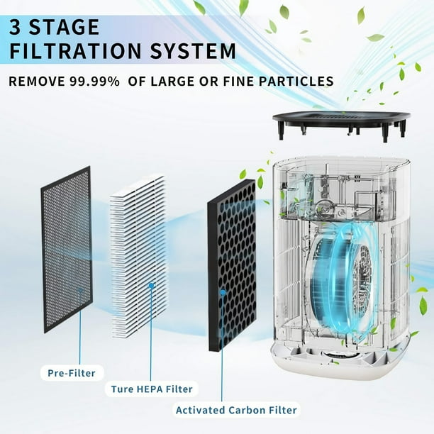 Rovacs air sale purifier
