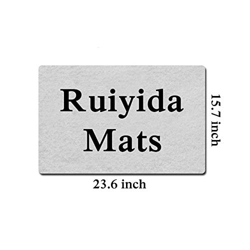 Ruiyida Entrance Mat Check Ya Energy Before You Come in This House Funny Doormat Door Mat Decorative Indoor Non-Woven 23.6 by 15.7 Inch Machine Washable Fabric Top
