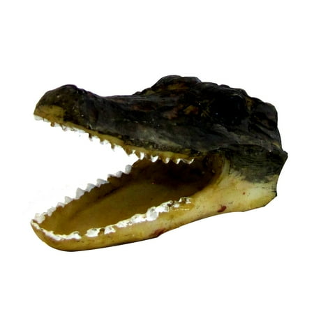 Octagon Shaped Magnet - New Alligator Crocodile Skull - Croc or Gator Head Shaped Fridge Freezer Magnet