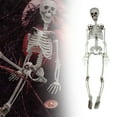 thumbnail image 3 of 90cm Realistic Halloween Skeleton Decoration with Movable Joints Full Body Party Prop for Scary Event, 3 of 9