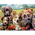 thumbnail image 2 of Rompecabezas Buffalo Games Image World Pup Perfection, 750 unidades, 2 of 6