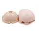 thumbnail image 1 of Juego de de Cuero Cabelludo de Cabeza de Muñeca para Peluca de Pelo de Zulema  Kit de carcasa de cuero cabelludo de muñeca, 1 of 7
