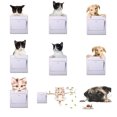 thumbnail image 1 of Gwong Decoración hogareña Animales lindos para perros gato de pared extraíble pegatina de la pared de la casa de los niños de la decoración de la decoración Gwong 96767, 1 of 7