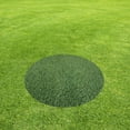thumbnail image 1 of RENACLIPY 1Pack Artificial Grass Mat for Park 60X0.98In, 1 of 8
