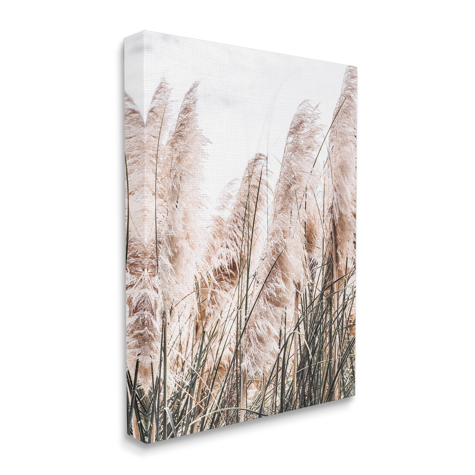 Stupell Industries Windblown Reeds Photography Botanical & Floral Photography Gallery Wrapped Canvas Print Wall Art, 16 x 20