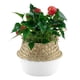 thumbnail image 4 of Organizador de armario plegable y cesto para macetas con diseño de algas marinas florales, color blanco natural, 4 of 8