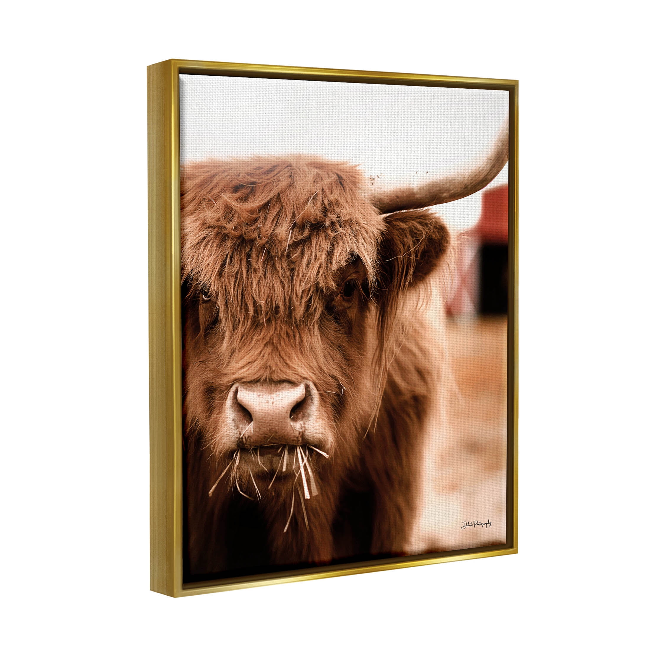 Grazing Cow Animal Portrait Animals & Insects Photograph Metallic Gold Framed Art Print Wall Art