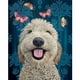thumbnail image 1 of Cuadros Decorativos Perro 5D DIY Diamond Painting Kits Resina Ronda completa Sywqhk Nuevos Originales, 1 of 9