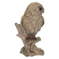 thumbnail image 4 of Chouette Trompette -DRIFTWOOD LOOK-, 4 of 5