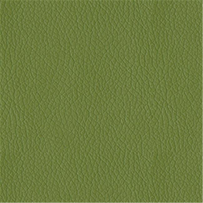 Turner 205 Simulated Leather Vinyl Contract Rated Fabric, Sprig