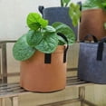 thumbnail image 4 of Macetas de Tela Gris Resistente, Bolsas para Cultivo de Vegetales/Flores/Plantas, Macetas de Tela No Tejida Espesa con Asas (5 Galones), 4 of 5