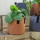 thumbnail image 4 of Macetas de Tela Gris Resistente, Bolsas para Cultivo de Vegetales/Flores/Plantas, Macetas de Tela No Tejida Espesa con Asas (5 Galones), 4 of 5