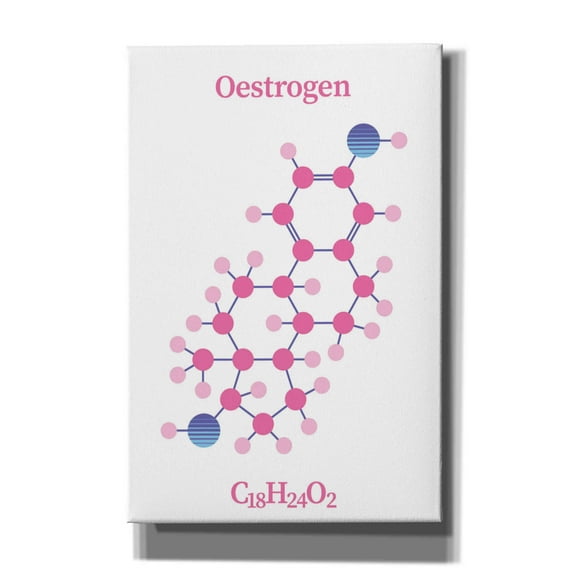 Epic Graffiti 'Oestrogen Molecule' by Epic Portfolio, Giclee Canvas Wall Art, 12"x18"