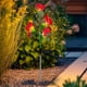 thumbnail image 5 of Lámpara Solar De Plástico Con Forma De Rosa Simulada 2 luces solares de rosas rojas de plástico para decoración de jardín, impermeables, para exteriores y caminos. Rkxzt, 5 of 9