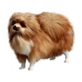 thumbnail image 1 of Fridja Simulation Animal Model Simulation Pomeranian Dog Model Plush Toys, 1 of 8