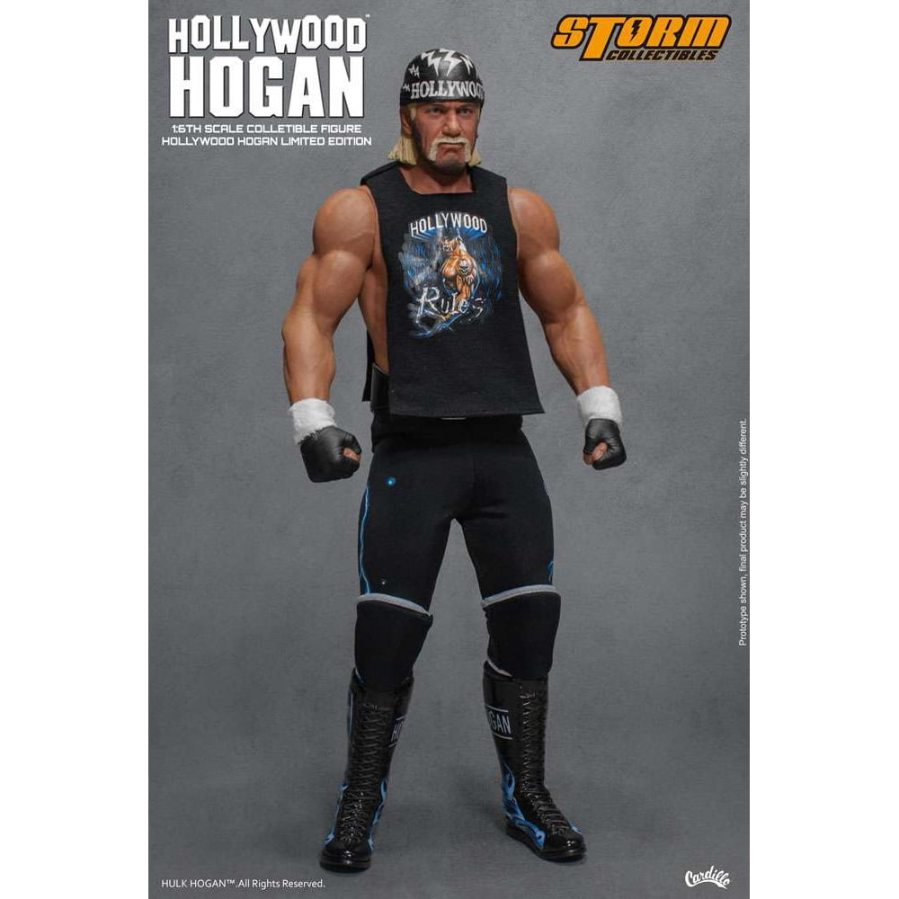 Wrestling Hulk Hogan Action Figure [Hollywood Hogan]