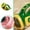 C, variant on Petal Playful Horn Speaker Animal Gathering Horn For Sound Effects and Laughable Noisemaker for Kids and Adults