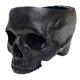 thumbnail image 1 of Outdoor Garden Decoration Halloween Skull Decoration Succulent Flower Pot Gothic Home Decoration, 1 of 5