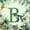 Green B, variant on jejeloiu Personalized Monogram W 7pcs Bedding Comforter Set For Boys,Green Plant Monstera Leaf Queen Bedding Sets For Kids,Light Gray Reversible