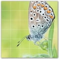 thumbnail image 1 of Picture-Tiles.com: Butterfly Ceramic Tile Wall Mural WAL500304-66S. 25.5"W x 25.5"H using (36) 4.25" x 4.25" Ceramic Tiles-Satin Finish, 1 of 3