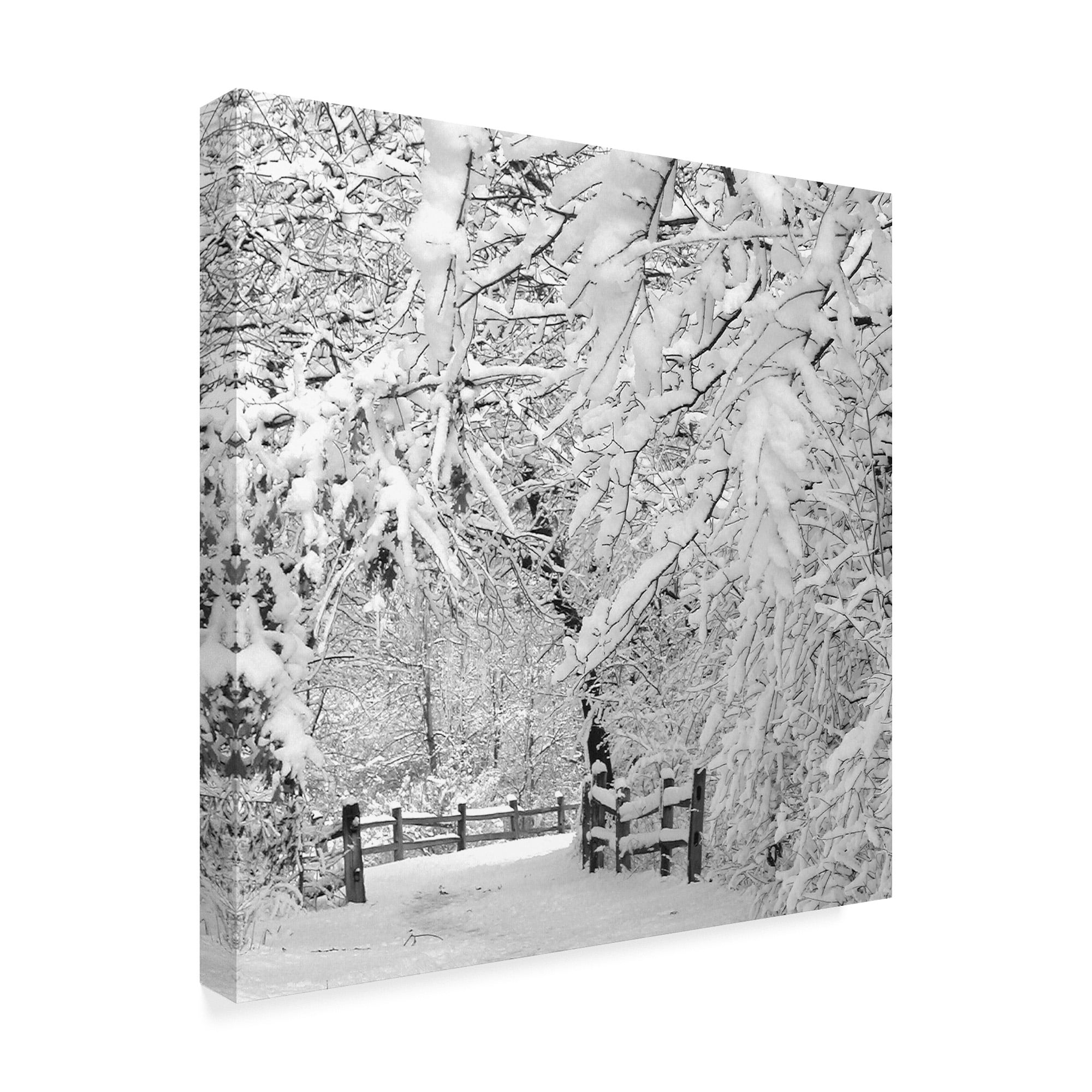 Incredi 'Winter Wonderland White' Canvas Art