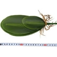thumbnail image 4 of unbranded Planta Artificial De Plástico Verde Con Hojas Realistas Para En Hogar Y Eventos, 4 of 7