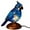 🥝 Blue_New#874, variant on Resin Table Lamp Decorative Bird Ornament – Exquisite Handcrafted Resin Design, Ambient Light Fixture, Elegant Modern Décor Accent, Durable Material, Ideal for Living Room Bedroom Office Gift