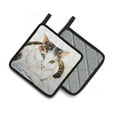 thumbnail image 2 of Carolines Treasures MW1334PTHD Lanie Cat Pair of Pot Holders , 7.5HX7.5W, multicolor, 2 of 4