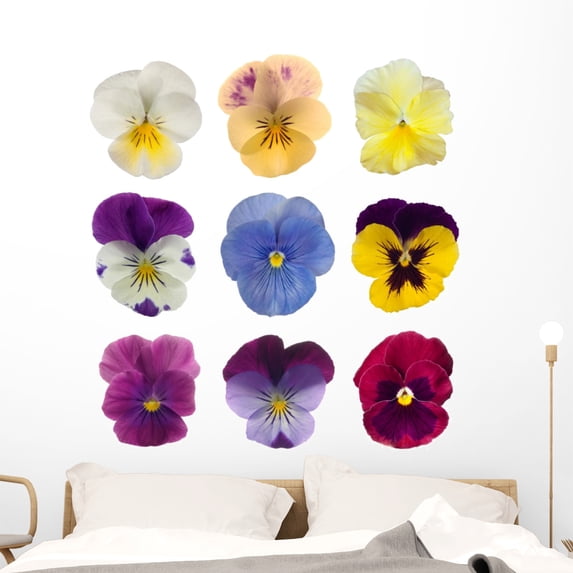 Collection Pansies Wall Mural by Wallmonkeys Peel and Stick Graphic (48 in H x 46 in W) WM189211