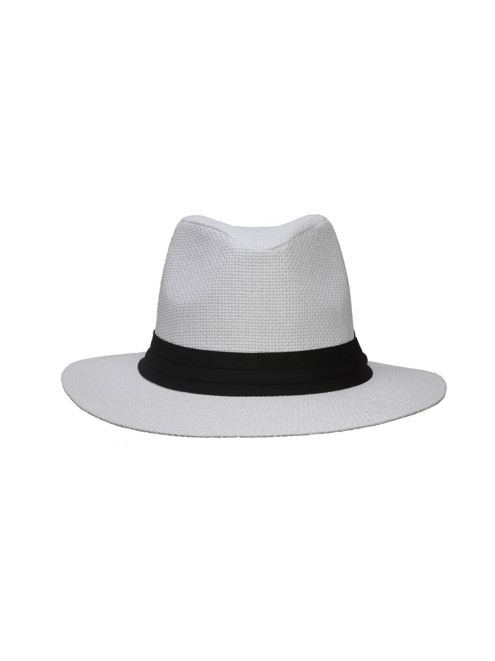 Banded Wide Brim Fedora Hat 