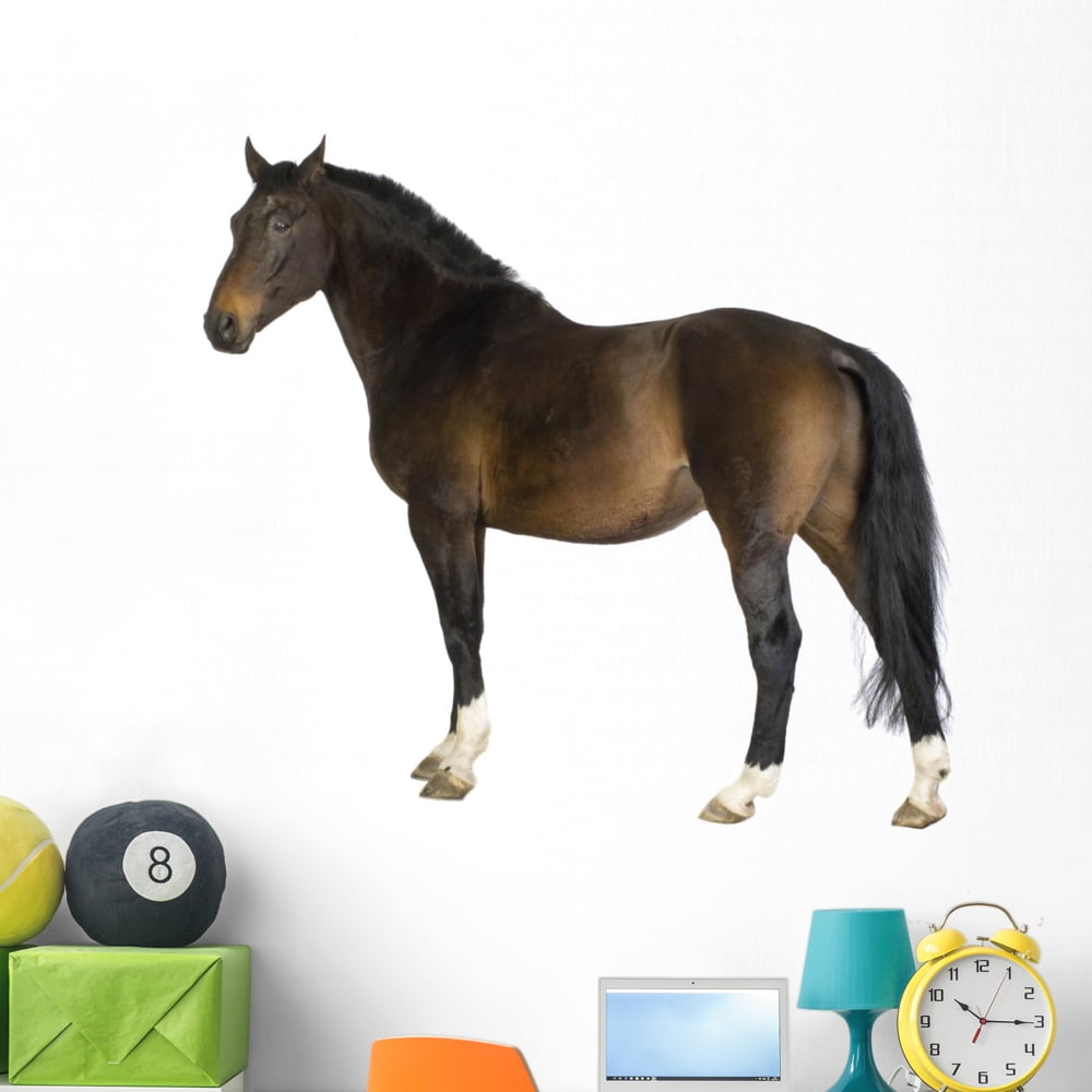 Horse Wall Mural by Wallmonkeys Peel and Stick Graphic (48 in W x 45 in H) WM118371 Walmart