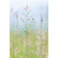 thumbnail image 2 of Guillemot Cove Grasses II Poster Print by Kathy Mahan (12 x 18), 2 of 2