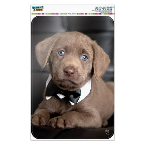 Labrador Lab Puppy Dog Bachelor Bow Tie Home Business Office Sign