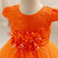 thumbnail image 3 of IDOPIP Baby Toddler Flower Girl Dress Lace Tulle Birthday Pageant Gown 1-5 Years 3D Flowers Formal Dress Toddler Wedding Guest Dress Baby Girl First Birthday Party Princess Baptism Dresses, 3 of 8