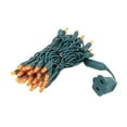 thumbnail image 2 of Novelty Lights 50 Light Outdoor LED String Lights, 11 Ft, Orange, Energy Efficient, 2 of 9