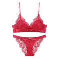 thumbnail image 1 of Ropa interior de mujer, ropa interior sexy de encaje sin aro de acero, copa triangular de algodón fino, hermosa espalda, pecho grande, conjunto de sujetador pequeño, 1 of 6