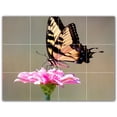 thumbnail image 1 of Picture-Tiles.com: Butterfly Ceramic Tile Wall Mural WAL500282-43S. 17"W x 12.75"H using (12) 4.25" x 4.25" Ceramic Tiles-Satin Finish, 1 of 3