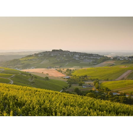 Dawn Light Starts to Fill the Skies Above the Village and Vineyards of Sanerre, Cher, Loire Valley, Print Wall Art By Julian